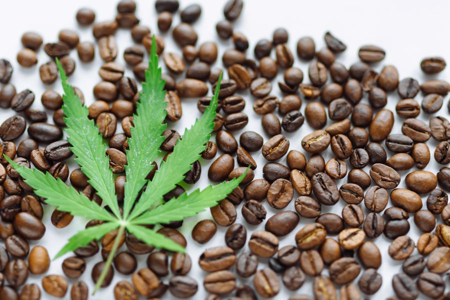 Coffee beans with a marijuana leaf